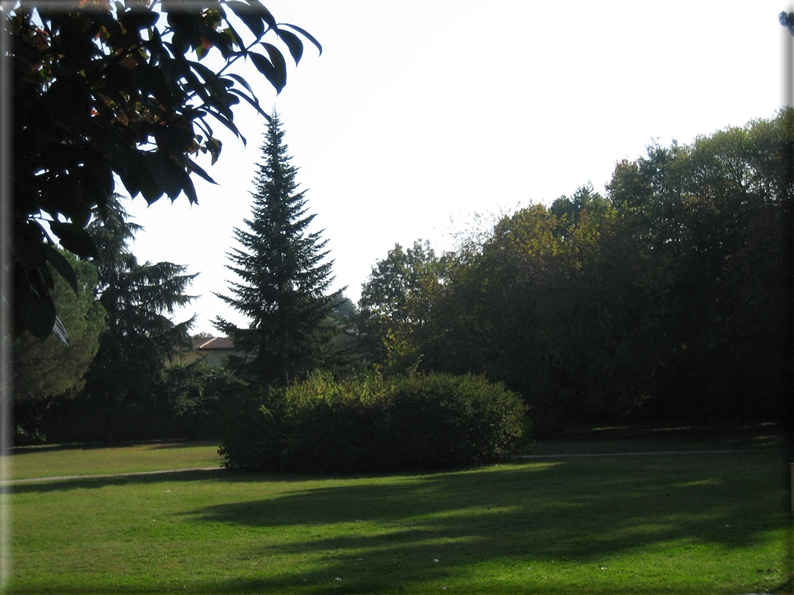 foto Parco Sebellin in Autunno